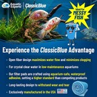 Aquatic Experts Classicblue Aquarium Filter Pad For Fresh   Saltwater  75  Thick