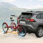 Rear Tricycle Carrier - 170lb Capacity Folding Hitch Rack