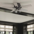 Hunter Fan 52 In Low Profile Noble Bronze Ceiling Fan With Light And Pull Chain