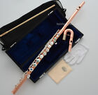 Handmade Rose Silver Alto Flute Abalone Button Straight Curved Head Jonts New