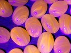 Vintage Cadmium Glass Cabochon Yellow Uv Orange Glow Flat Back 18x13mm
