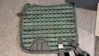 Training Saddle Pad With Elastic - Dressage Green