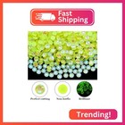 Blinginbox Flatback Glass Rhinestones luminous Gems 1440pcs Non Hotfix Crystal R