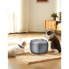 2 5 L Translucent Pet Drinking Water Fountain Waterer For Cats Dogs