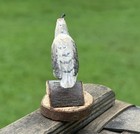 Folk Art Wood Carved Gambel s Quail Bird Wood Miniature 2   