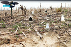 Mojo Dove-a-flicker Spinning Wing Dove Decoys For Dove Hunting 4 Pack