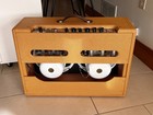 1958 - 1959 Fender Twin 5f8-a Amp  Vintage Beast 