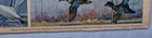 Vintage Federal Wildfowl Of North America Cardboard Sign 18x20 - Fair