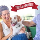 Nature   s Miracle Stain And Odor Remover Dog 170 Fl Oz  pack Of 1   Fishaquari 