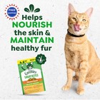 Greenies Feline Smartbites Cat Treats Healthy Recipe Chicken Flavor 4 6 Oz Pack