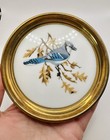 Vintage Bird Trinket Dish Blue Jay Gorham Trayette Gold Rim Porcelain Bird  558b