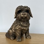 Shih Tzu Figurine Leonardo Reflections Bronze Effect Ornament In Gold Gift Box