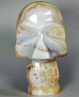 Natural Agate Quartz Crystal Geode Carved Skull  Realistic  Healing Cute 233g