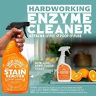 Pet Stain Remover Enzyme Cleaner Citrus Spray Dog Cat Urine Odor Elimination New
