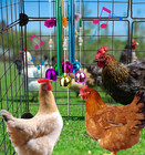 Chicken Toys For Coop  Chicken Wind Chime Enrichment Toys  Hanging Chick Peck To