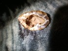 Oco Geode Natural Polished Agate Crystal Druzy Geode Half