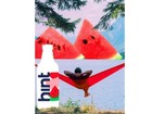 Hint Water Watermelon  pack Of 12   16 Ounce Bottles  Pure Water Infused With Wa