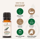 Hyssop Oil   100  Pure  Natural And Therapeutic   Premium Grade Essential Oils