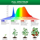 2-pack Led Grow Light Bulb Full Spectrum Indoor Plant 36w 400w Hydroponics Sansi