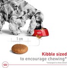 Royal Canin Size Health Nutrition Medium Breed Adult Dry Dog Food 30 Lb Bag