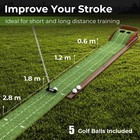 Puttlazr Golf Putting Mat - 2 Hole  Green