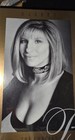Barbra Streisand  the Concert  1993 1994 Original Poster Framed 25x16 In