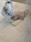 Webkinz Husky Dog 8  Hm120 Plush Stuffed White Gray Puppy Ganz No Code Soft Toy