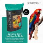 Roudybush Daily Maintenance Bird Food  Mini  10-pound