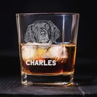 Engraved Pet Memorial Gift Whiskey Glass - Custom Your Dog Or Cat Photo On Glass