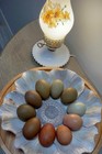 12 Rustic Fertile Chicken Hatching Eggs