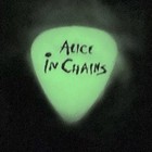 Alice In Chains-mike Starr-glow In The Dark- Guitar Pick-w mike Starr Signature