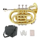 Bb Pocket Trumpet  Mini Brass Instrument For Beginners With 7c Mouthpiece   Case