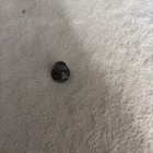 Vintage Pewter Tasmanian Devil Thimble Souvenir 