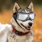 Fashion Pet Dog Doggles Goggles Uv Sunglasses Wind Protection Dust Protection 