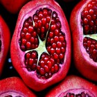 20 Dwarf Pomegranate Tree Seeds Punica Granatum Nana Garden Fruit House Plant