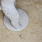 1960 s Poodle Dog Unterweissbach Figurine German T  Steiner Porcelain 8 25  9374