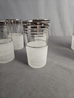 Set Of 4 Vintage West Virginia Glass Frost Nip Platinum Rim Glasses 12oz