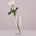 Clear Glass Cylinder Floral Vase 9 5 Inch Tall For Fresh Or Artificial Flowers
