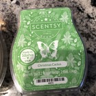 New Scentsy Lot Of 10 Wax Melts No Doubles Cranberry Butter Pecan Christmas