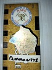 Late Cretaceous Fossil Ammonite Shell Fragment From Hell Creek Formation Montana