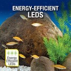 Fish Tanks 20-gallon Led Glass Aquarium Starter Kit With Filter  Heater   Plants