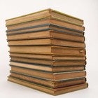 Antique And Vintage School Books  12 Book Lot - Readers  Primers  Decor  Stag  