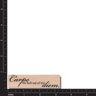 New Rubber Stamp Seize The Day Phrase Saying Word Media Art Carpe Diem Hell Cat