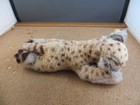Vintage Steiff Sleeping Baby Leopard Leo With Ear Button   Tag 9  Stuffed Animal
