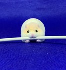 Orange white  laying On Stomach  Hamster Animal Usb Cable Bite Protector Holder