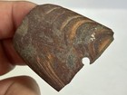 Colorful Tennessee Banded Claystone Drilled Pendant   Gorget Section Great Color