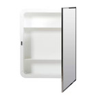 16 1 In  W  X 20 1 In  H Rectangular Plastic Medicine Cabinet With Stainless Ste
