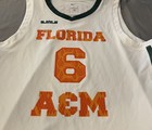 Nike Lebron James Florida A m Rattlers Basketball Jersey White Green Orange L