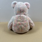 Ty Beanie Baby Buddy 15 Years Bear 2001 Glitter Rainbow 13 Inch