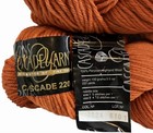 Cascade 220 Wool Yarn Lot 2 Skeins Jack O Lantern 7824 Dye Lot 6101 Orange